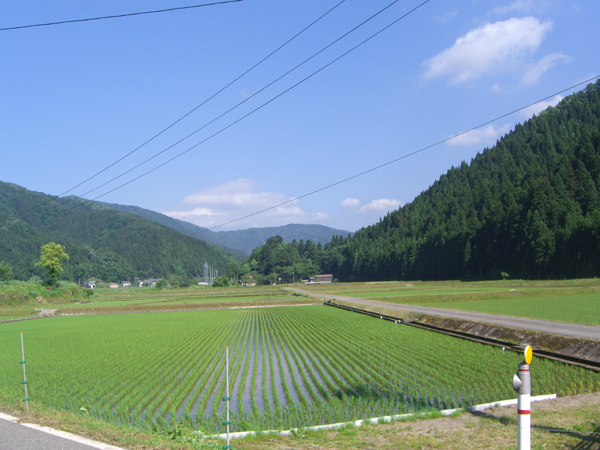 上味見地区田園風景