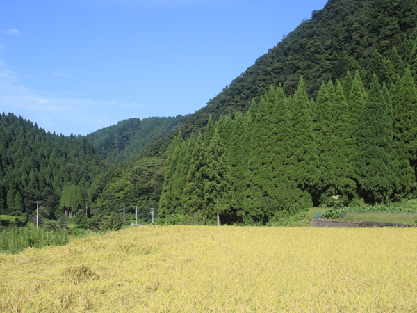 上味見地区田園風景