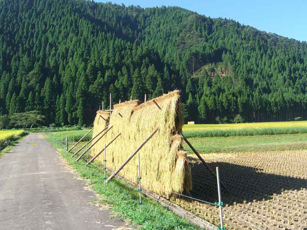 上味見地区田園風景