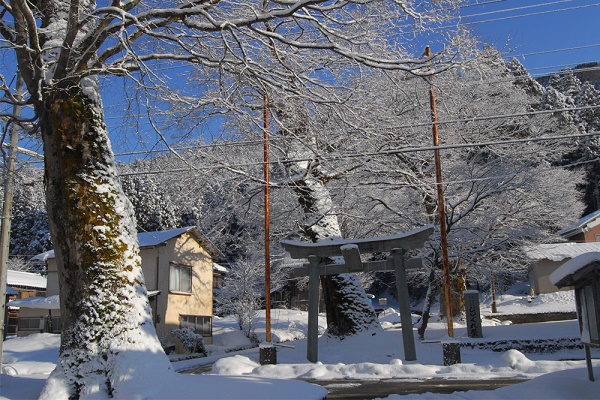 冬 樺八幡神社